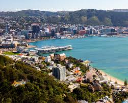Low Carbon Capital Plan-Wellington