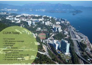 Campus of The Chinese University of Hong Kong, Shatin, Hong Kong