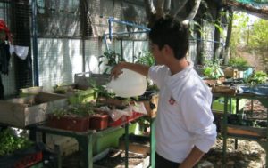 National System of Environmental Certification of Educational Institutions