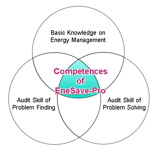 Competences of EneSave-Pro