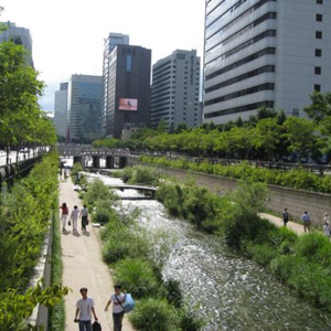 Energy-efficient Transit Initiatives in Seoul