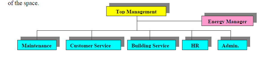 Managment structure