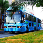 Macrobus