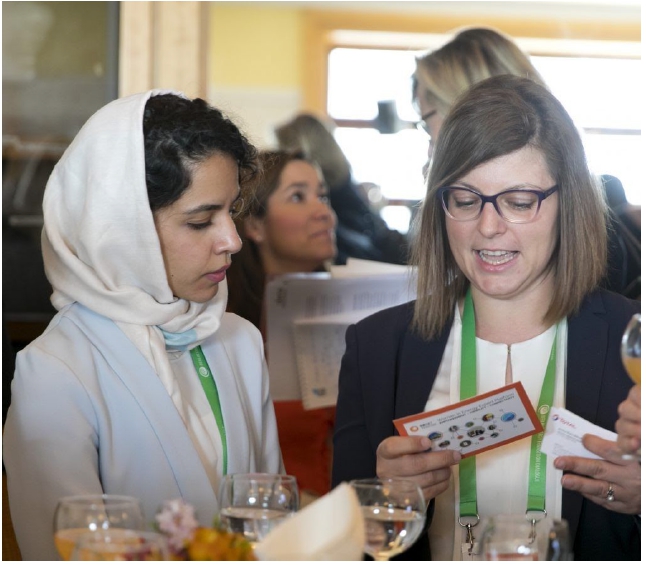 Women working in sustainable energy are encouraged to explore the new platform and create their profile so that they can begin engaging with other professionals