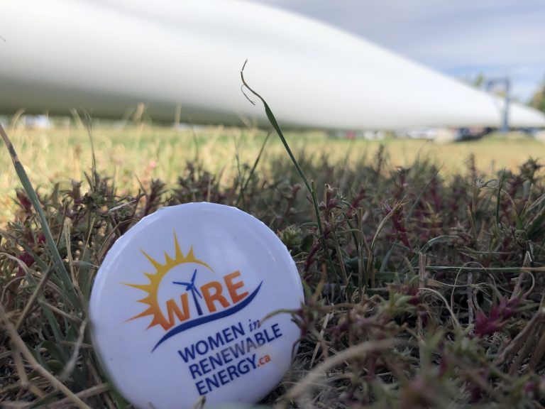 WiRE Capacity-Building Field Trips