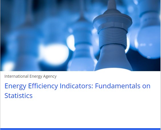 Energy Efficiency Indicators: Fundamentals on Statistics